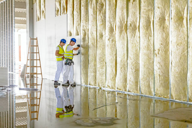 Best Crawl Space Insulation  in Hillsborough, NJ